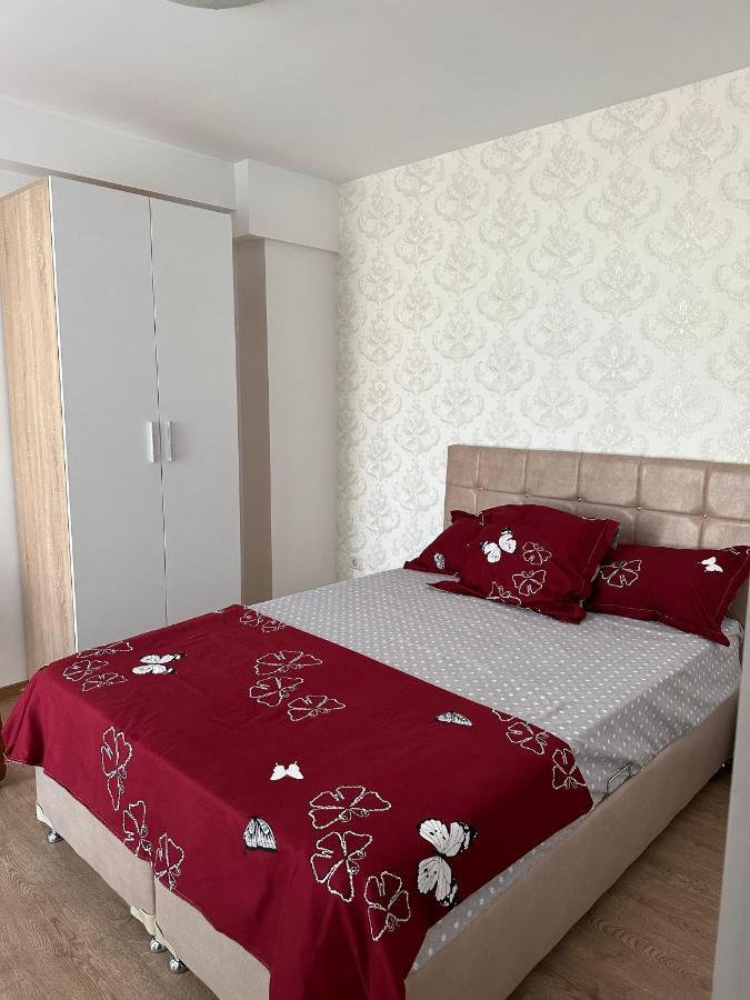 Apartament Adelin Năvodari المظهر الخارجي الصورة
